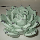 Keramik Agave, Größe 1